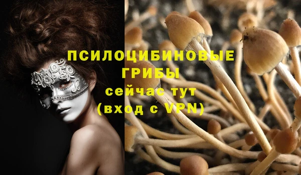 дурь Баксан