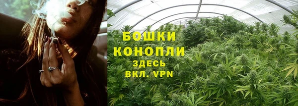 mix Белокуриха